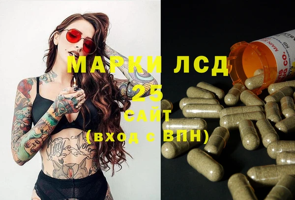 ГАЛЛЮЦИНОГЕННЫЕ ГРИБЫ Алзамай