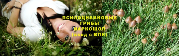 Альфа ПВП Нягань