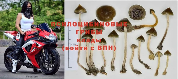 эйфоретик Алексеевка