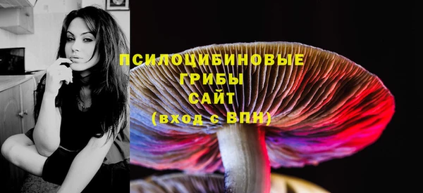 хмурый Няндома