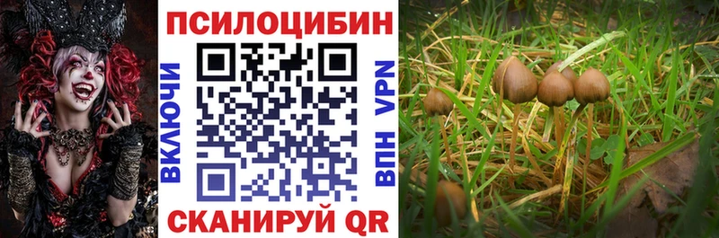Псилоцибиновые грибы мицелий  магазин    МЕГА рабочий сайт  Канск 