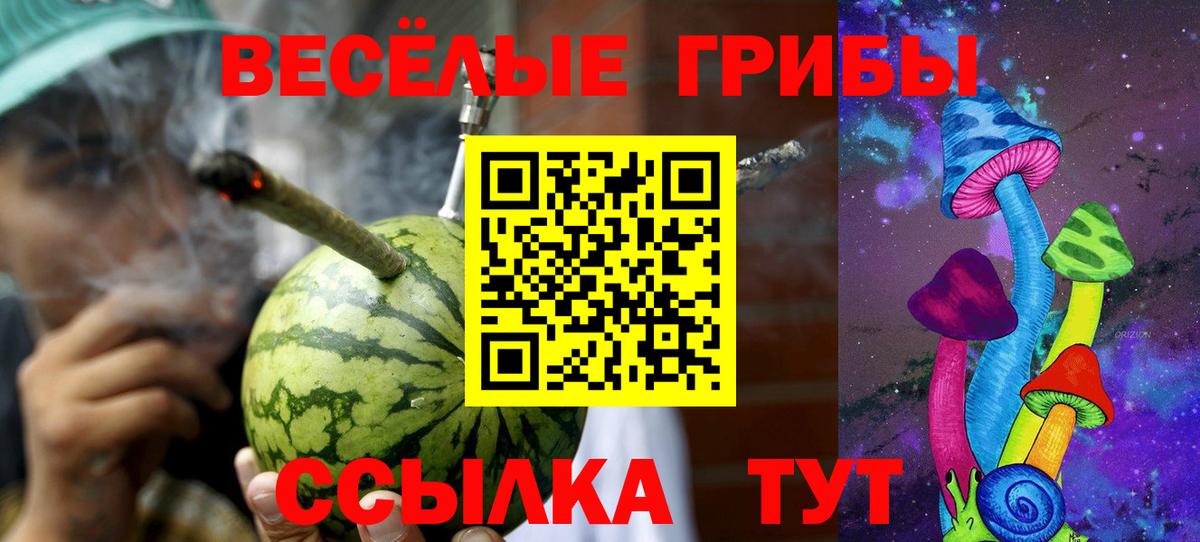 Галлюциногенные грибы Cubensis  Вход с VPN  Канск 